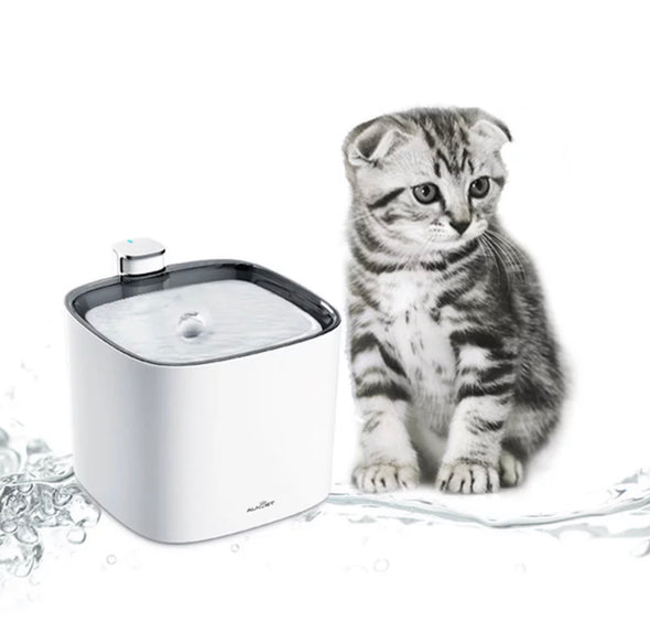 Smart Pets Automatic Water Fountain - Little Marylebone