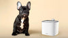 Smart Pets Automatic Water Fountain - Little Marylebone